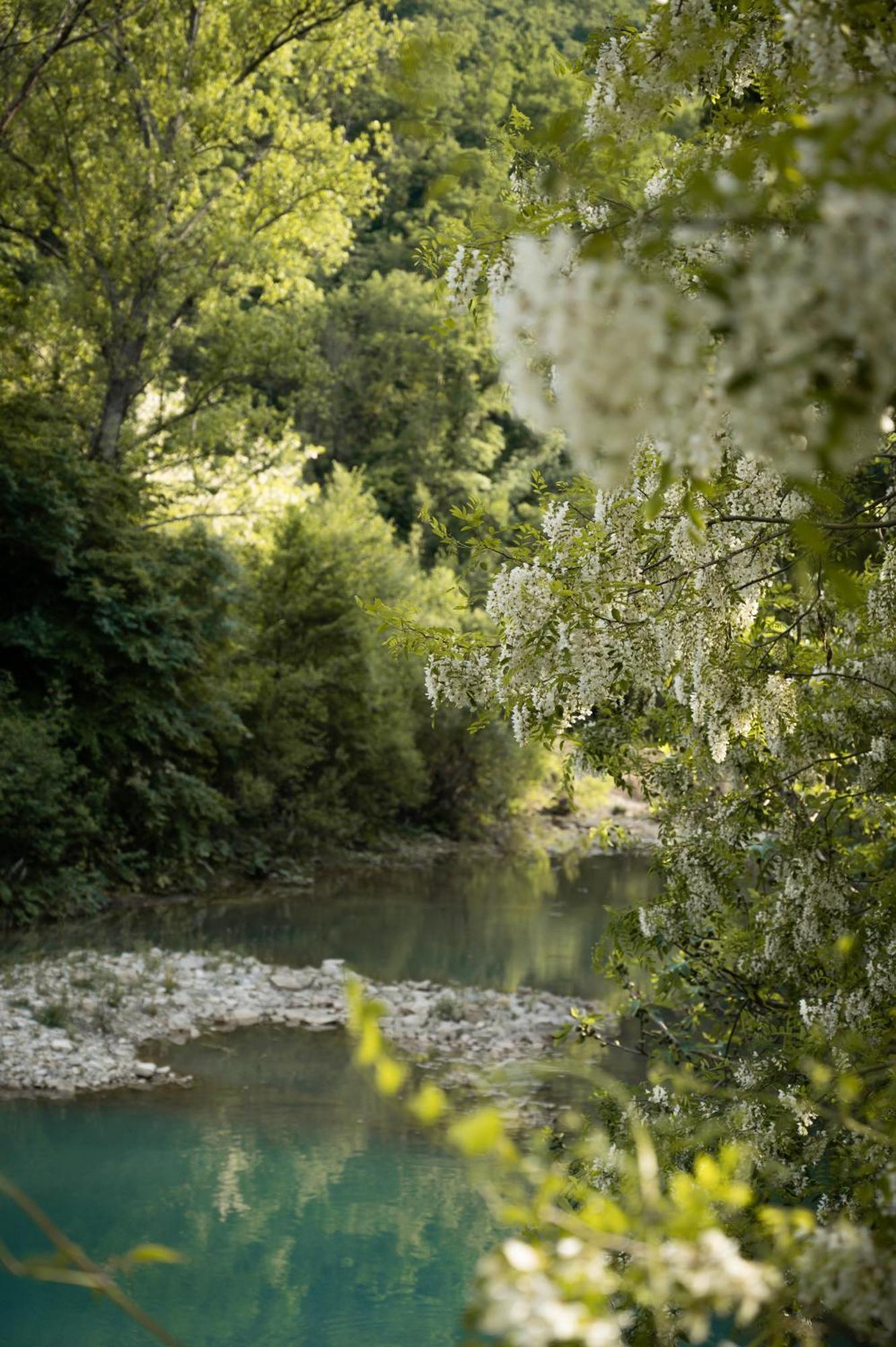 Glamping Dragonja River Smarje  Екстер'єр фото