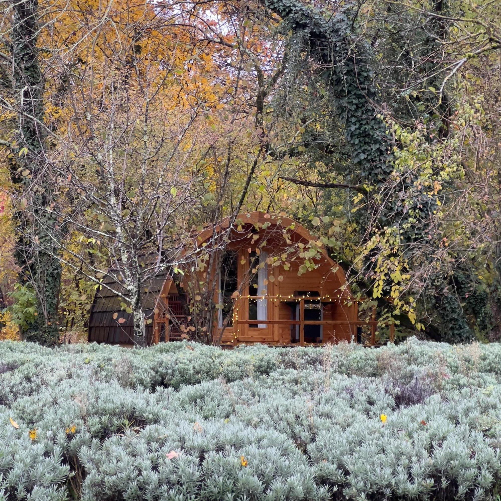Glamping Dragonja River Smarje  Екстер'єр фото